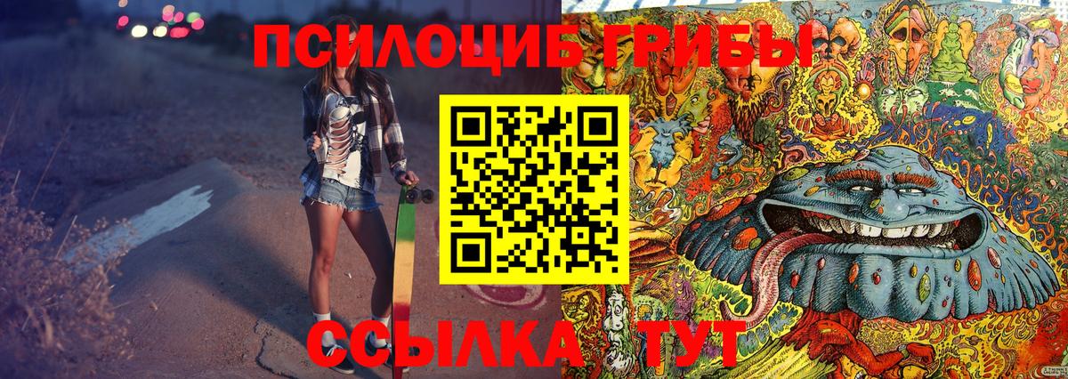 Галлюциногенные грибы Magic Shrooms Черняховск