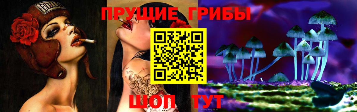 Галлюциногенные грибы Psilocybe  Вход с VPN  Галлюциногенные грибы Magic Shrooms  Черняховск 
