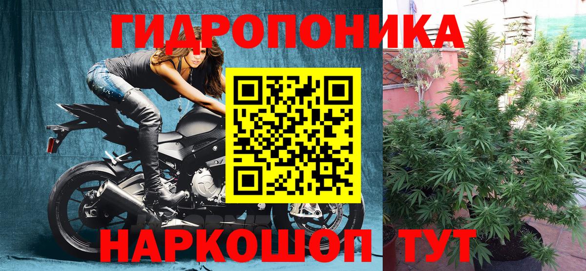 Канабис Amnesia Черняховск